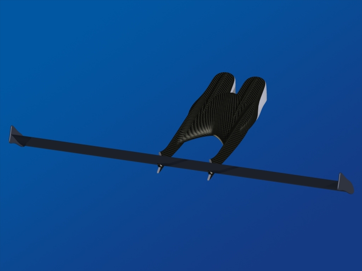 La palme  ailes modle Mono 1 - Palmaile -