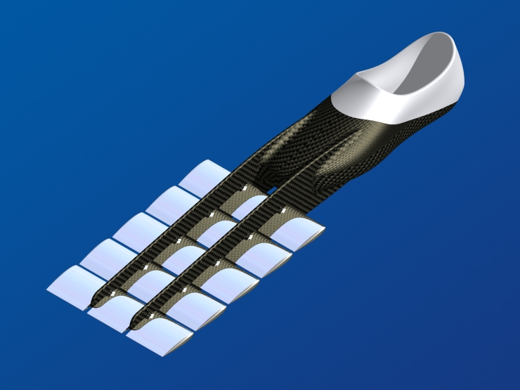 La palme  ailes modle Max - Palmaile -