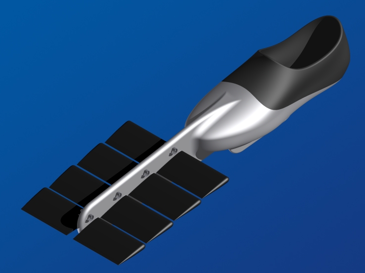 La palme  ailes modle Plonge - Palmaile -