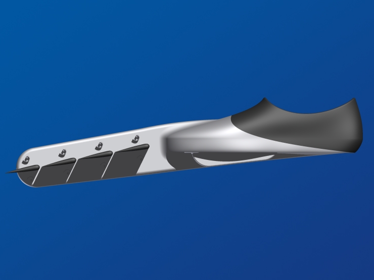 La palme  ailes modle Plonge 1 - Palmaile -