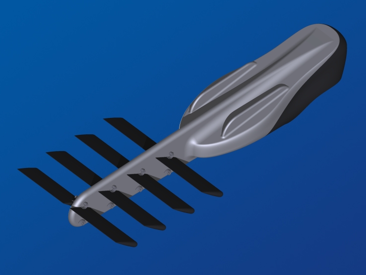 La palme  ailes modle Plonge 2 - Palmaile -