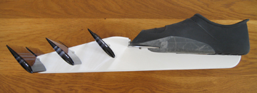 La palme  ailes prototype b - Palmaile -