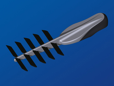 La palme  ailes Sportd - Palmaile -