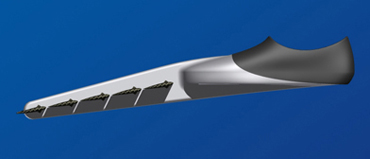 La palme  ailes Sporta - Palmaile -