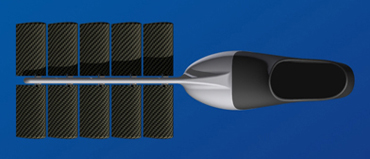 La palme  ailes Sportb - Palmaile -