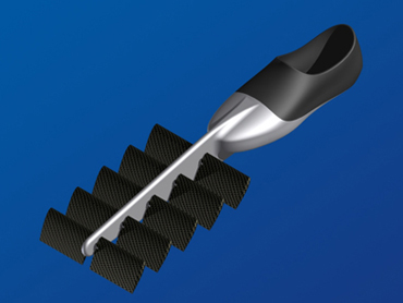 La palme  ailes Sportc - Palmaile -