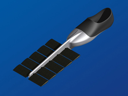 La palme  ailes modle Sport - Palmaile -