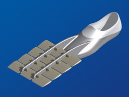 La palme  ailes modle BiFun - Palmaile -