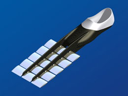 La palme  ailes modle Max - Palmaile -