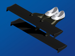 La palme  ailes modle BiMono - Palmaile -